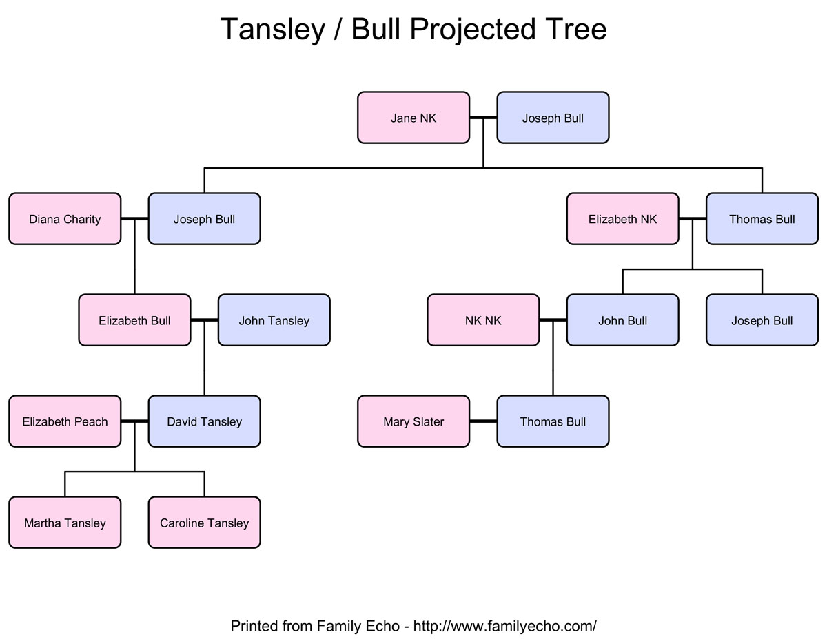 Tansley Bull tree